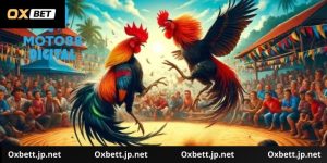 Đá Gà Cựa Dao