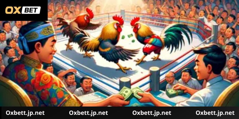 Hướng Dẫn chơi đá gà Oxbet Chi Tiết