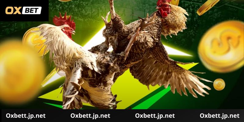 Hướng dẫn chơi đá gà cựa sắt chi tiết
