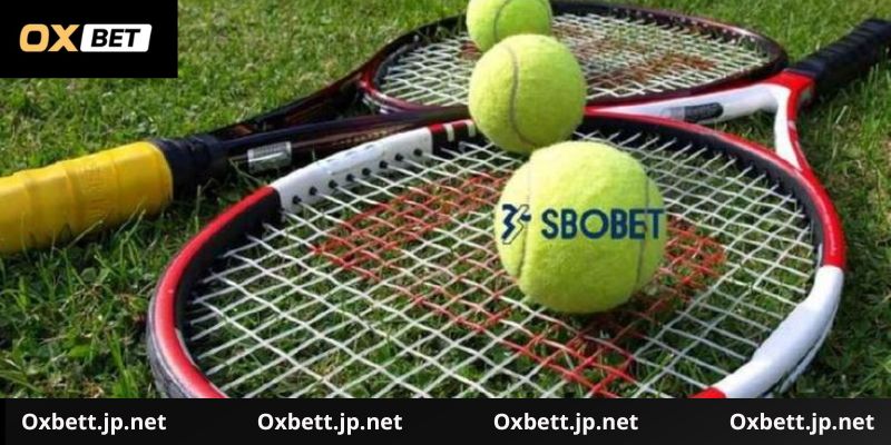 Quy trình đặt cược tại Oxbet